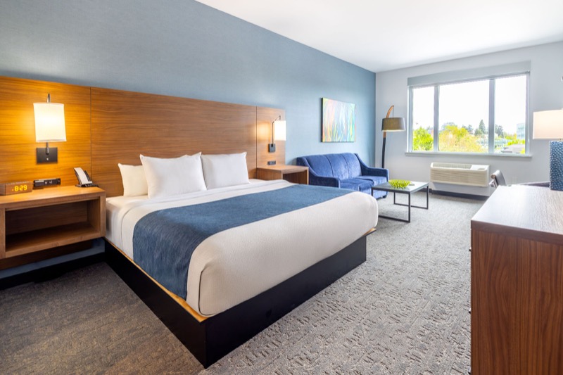 Deluxe Suite with king bed, blue accent wall, warm wood headboard, blue sofa, abstract art, and large window with treetop view