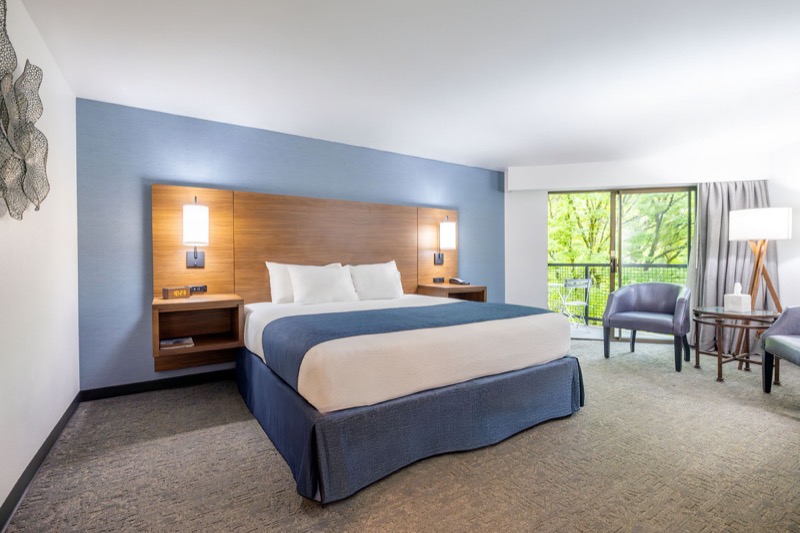 Waterview King guest room with king bed, blue accent wall, wood headboard, armchair, and balcony door with treetop view